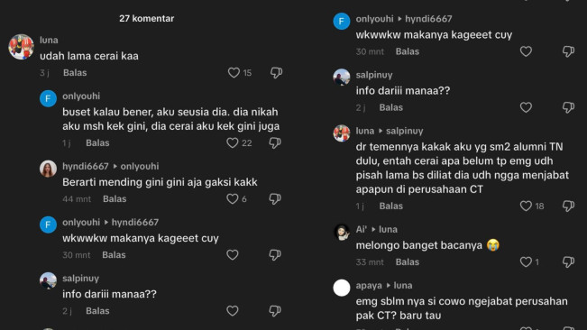 Komentar Netizen soal Kabar Perceraian Putri Tanjung (TikTok)